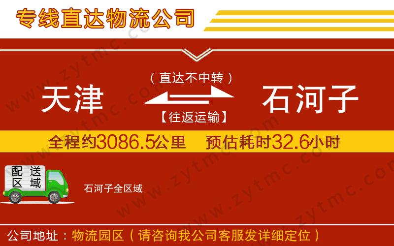 天津到石河子物流公司