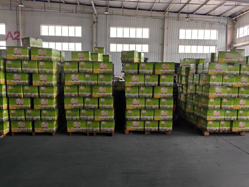 蘇州到定安貨運(yùn)公司